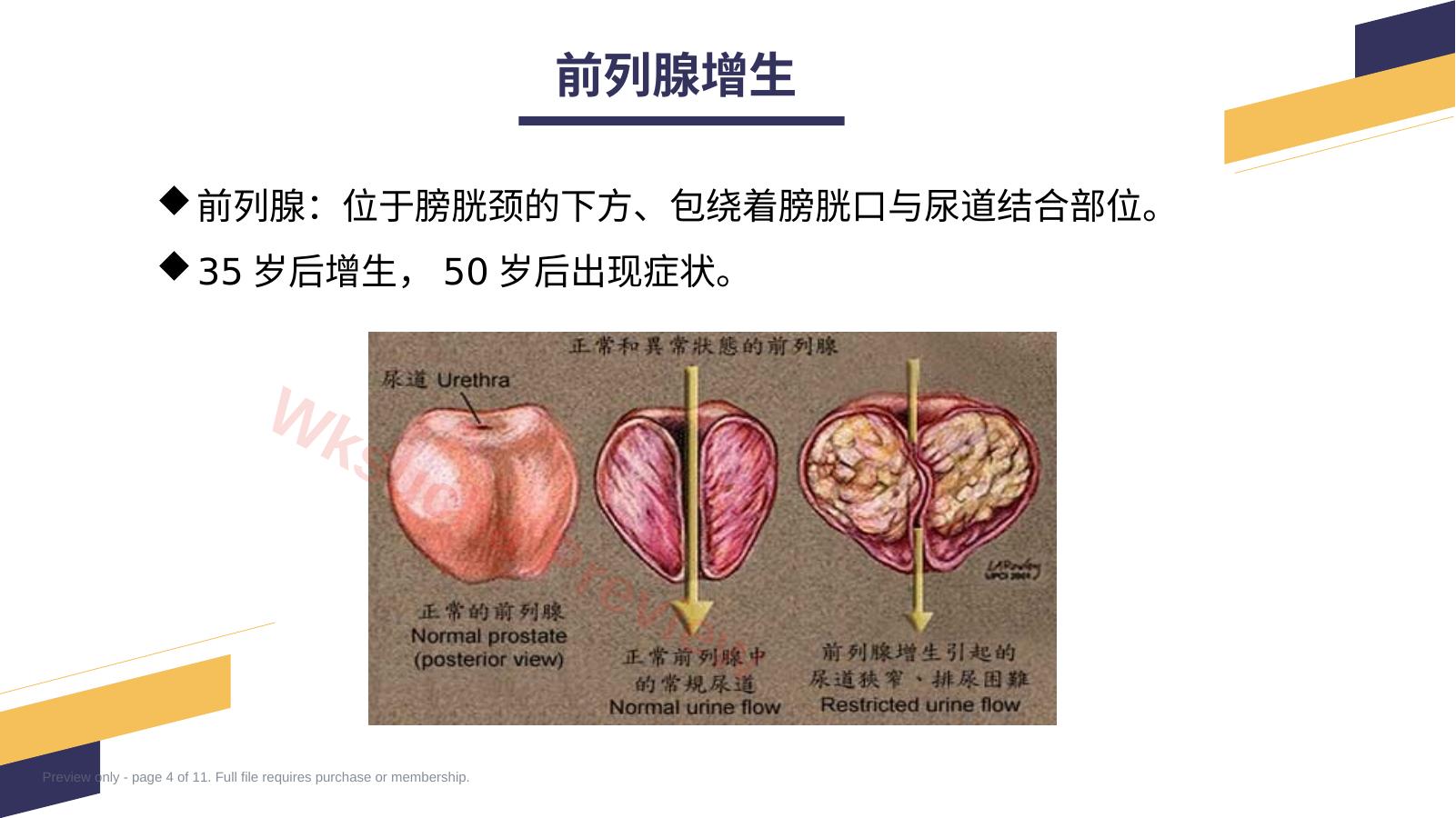 预览第 4 页