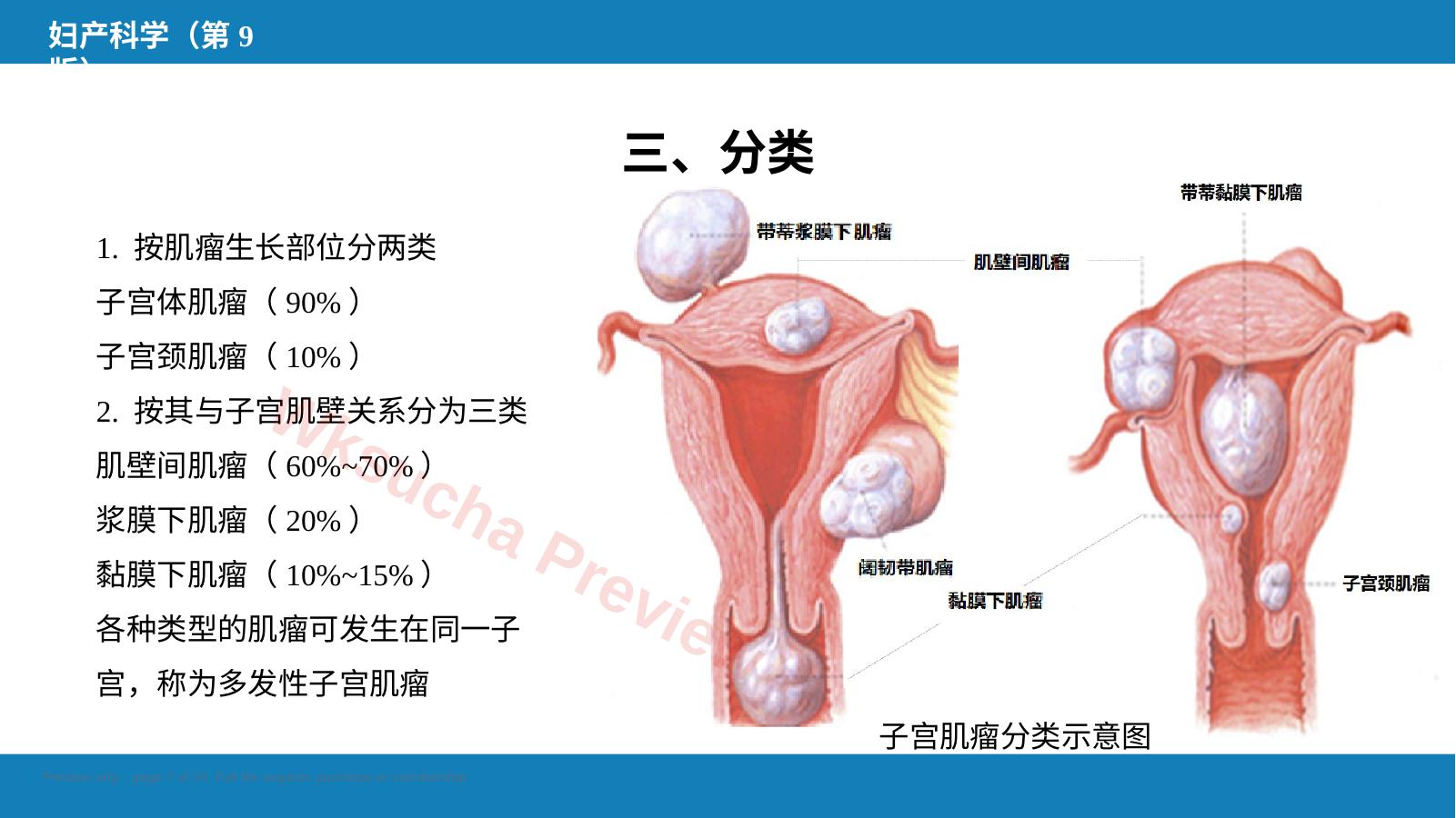 预览第 7 页