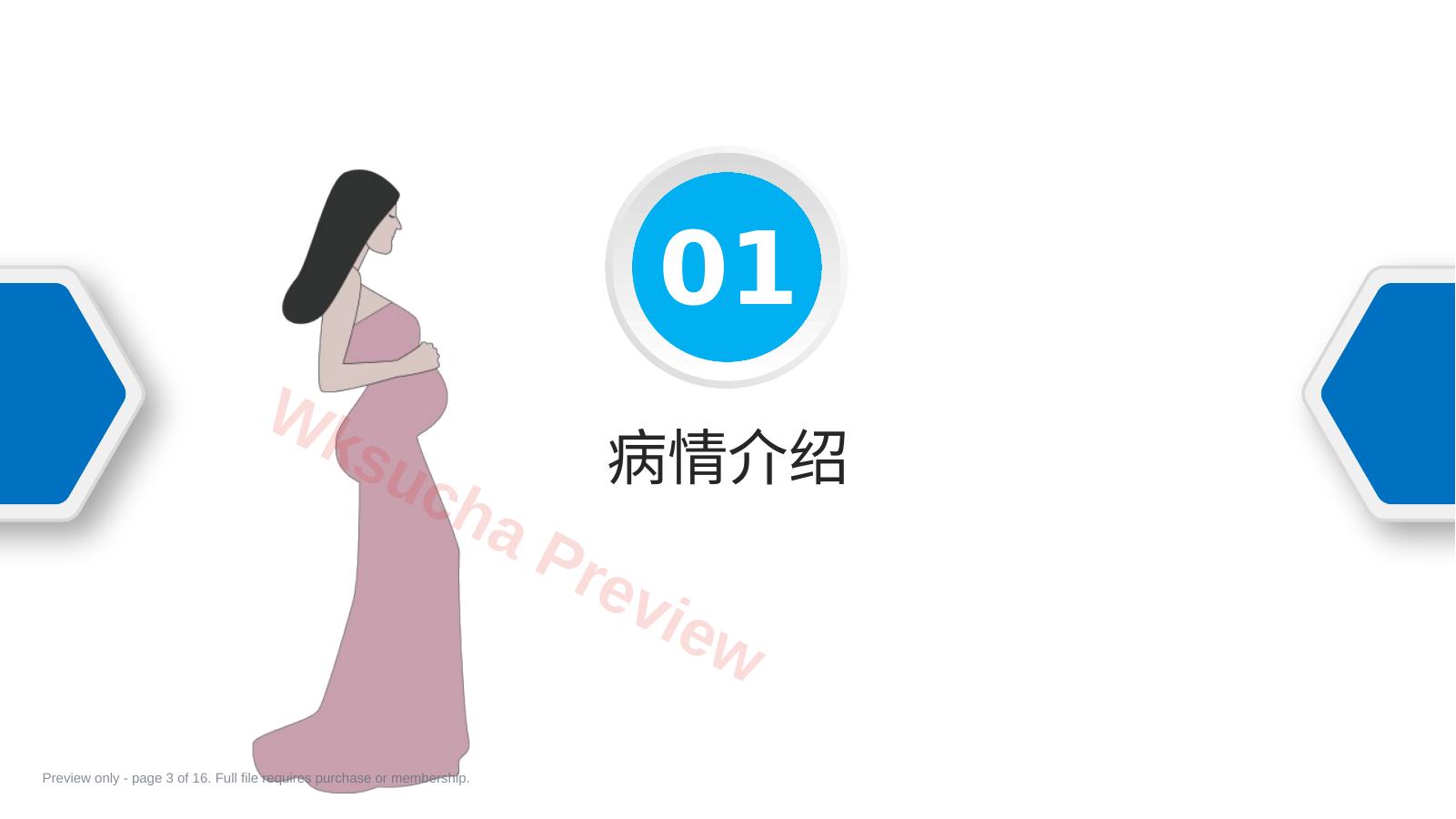 预览第 3 页