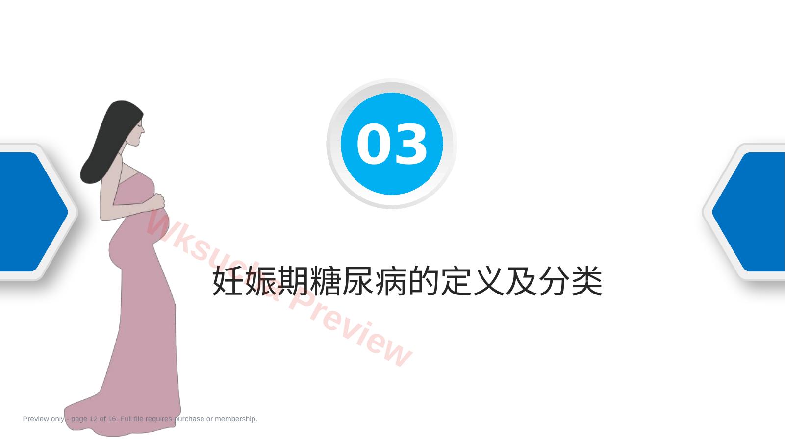 预览第 12 页