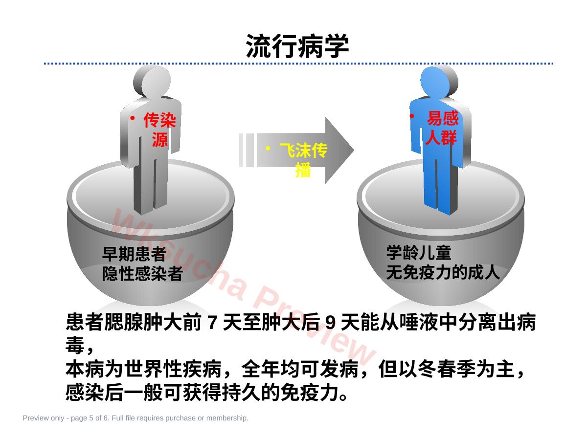 预览第 5 页