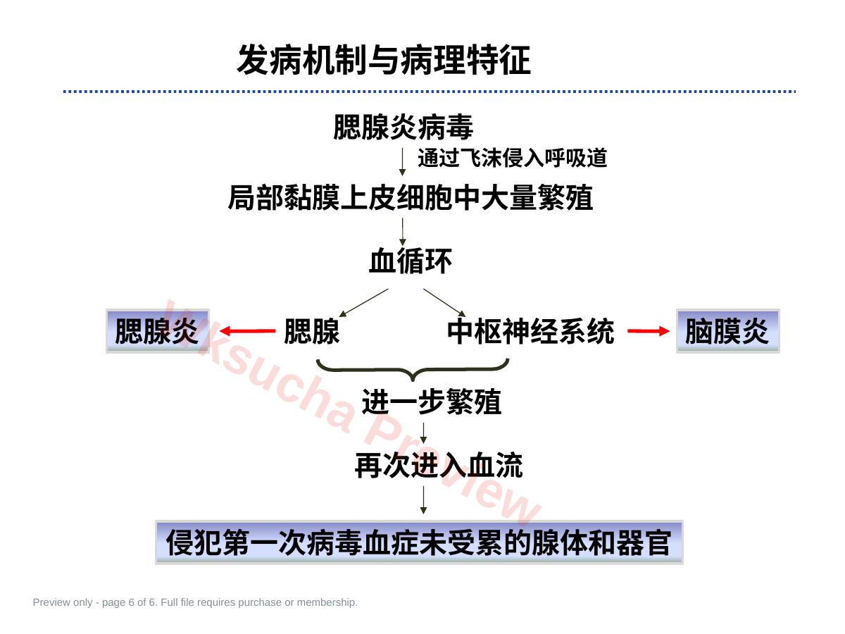 预览第 6 页