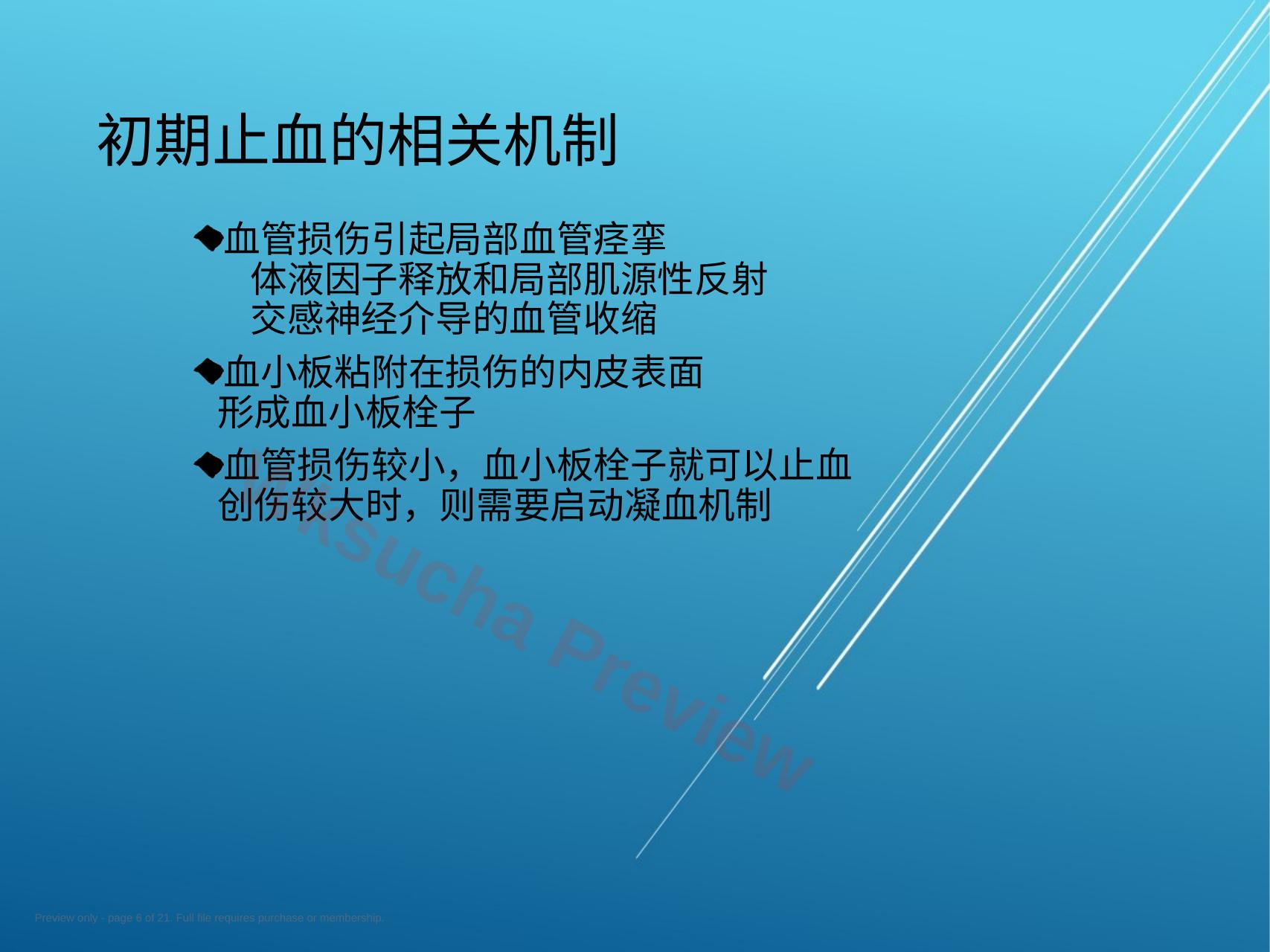 预览第 6 页