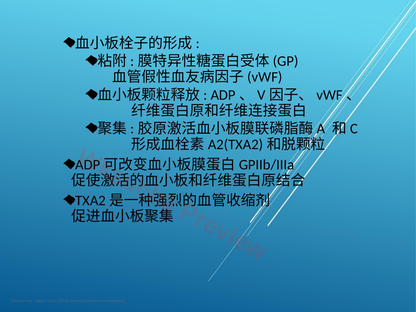 预览第 7 页