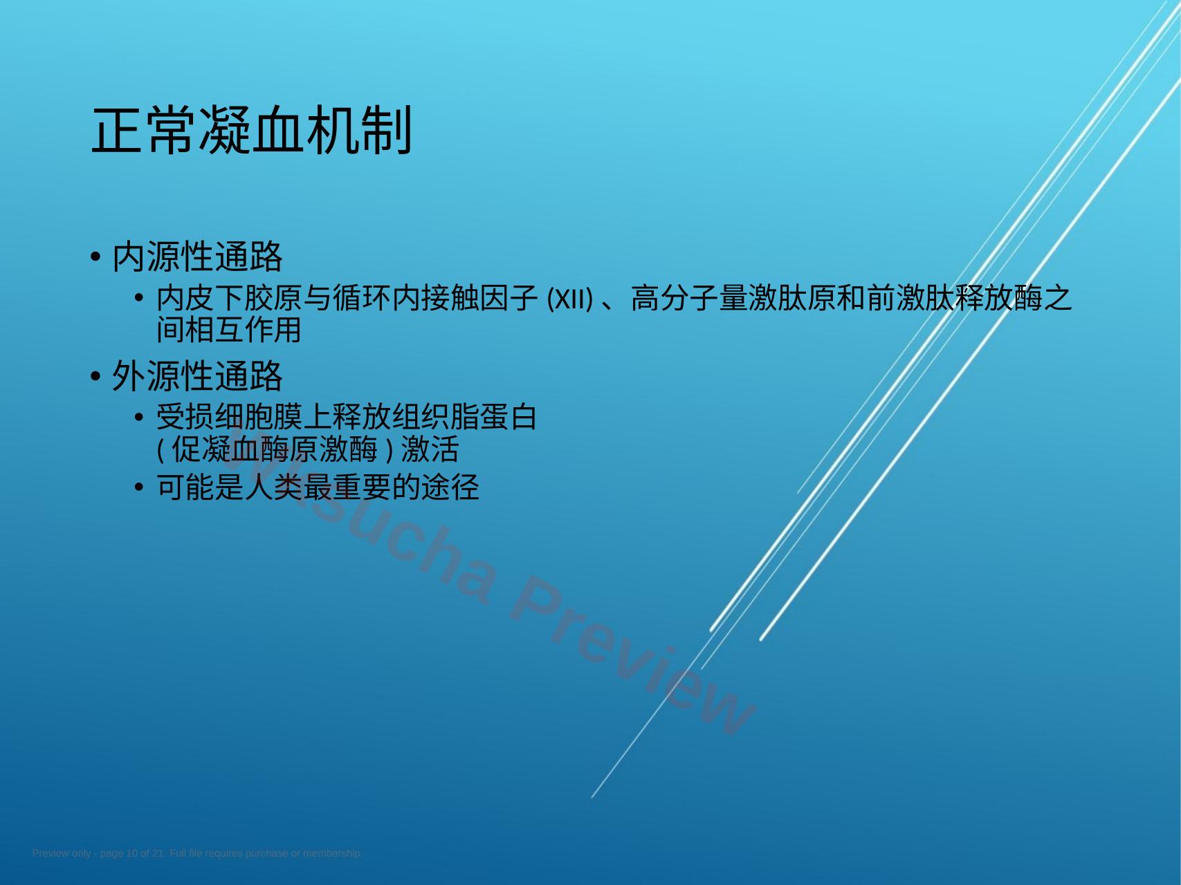预览第 10 页