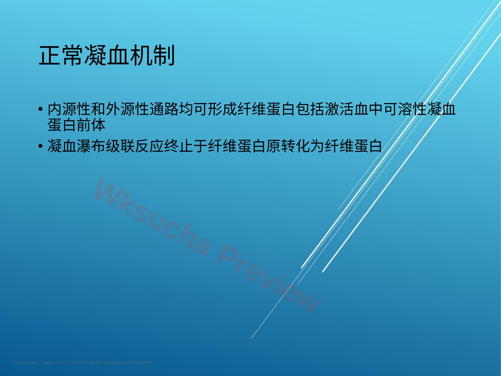 预览第 11 页