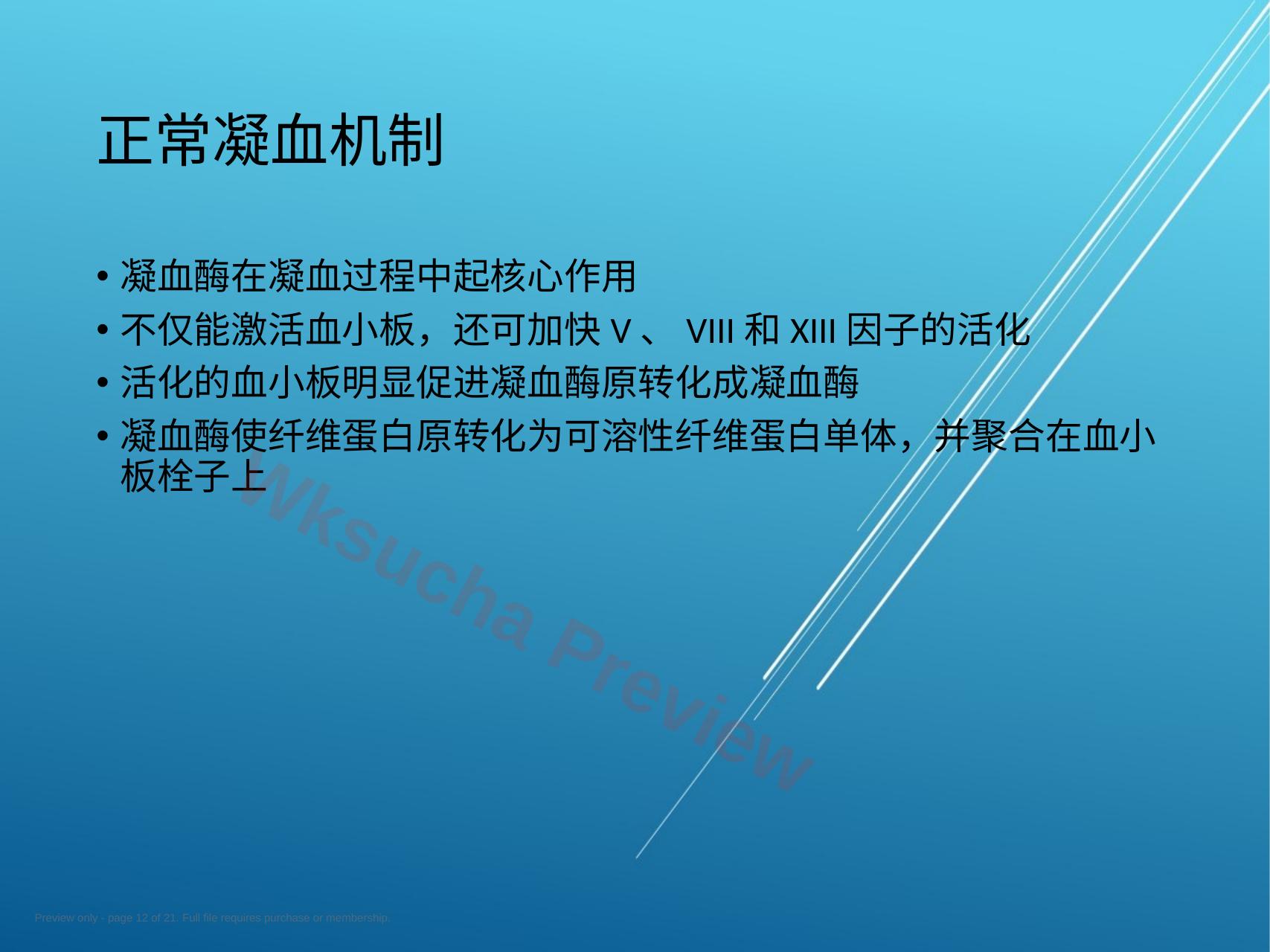 预览第 12 页