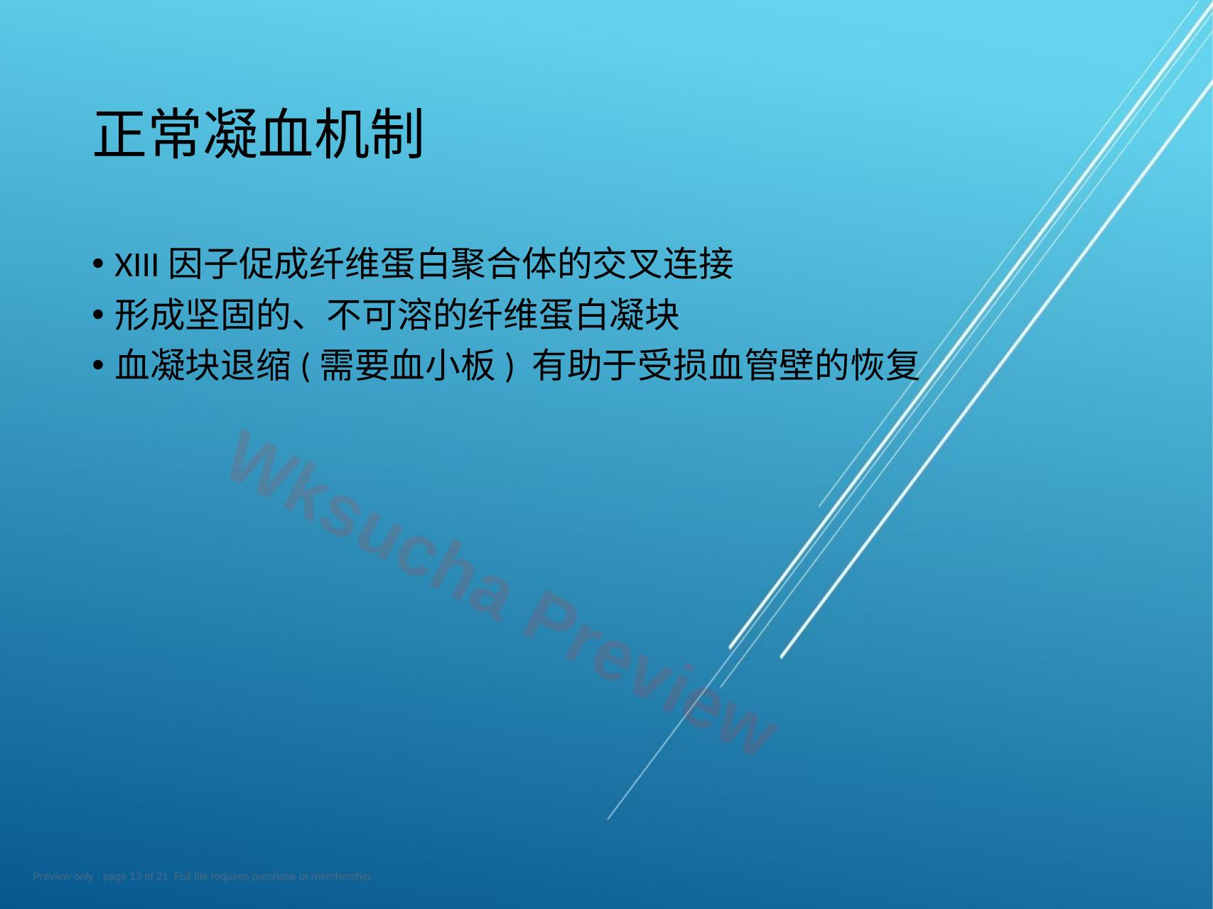 预览第 13 页