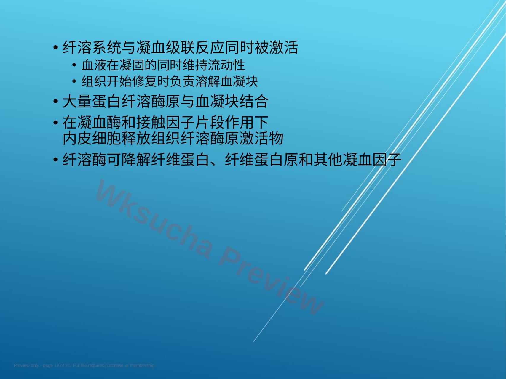 预览第 19 页