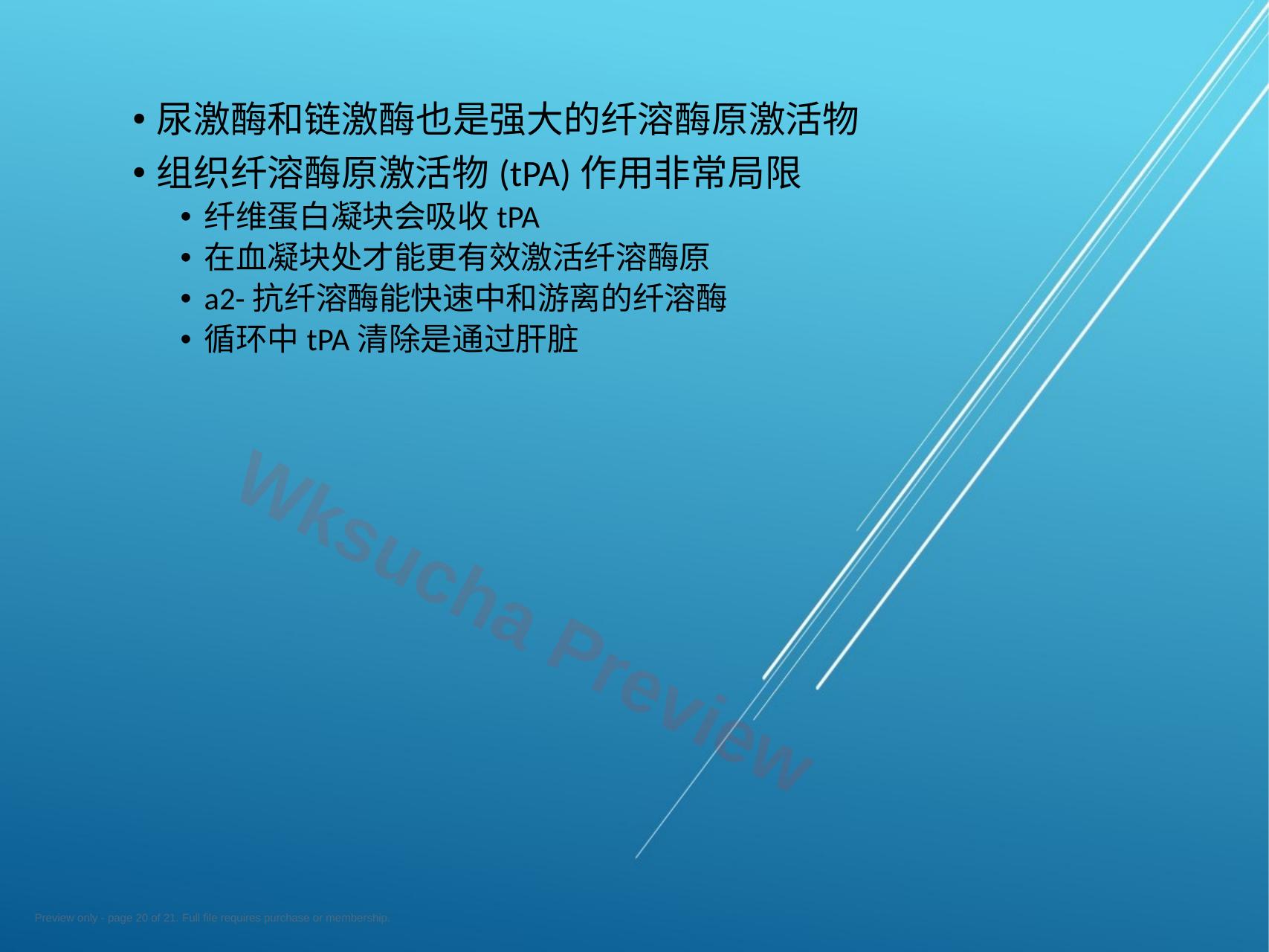 预览第 20 页