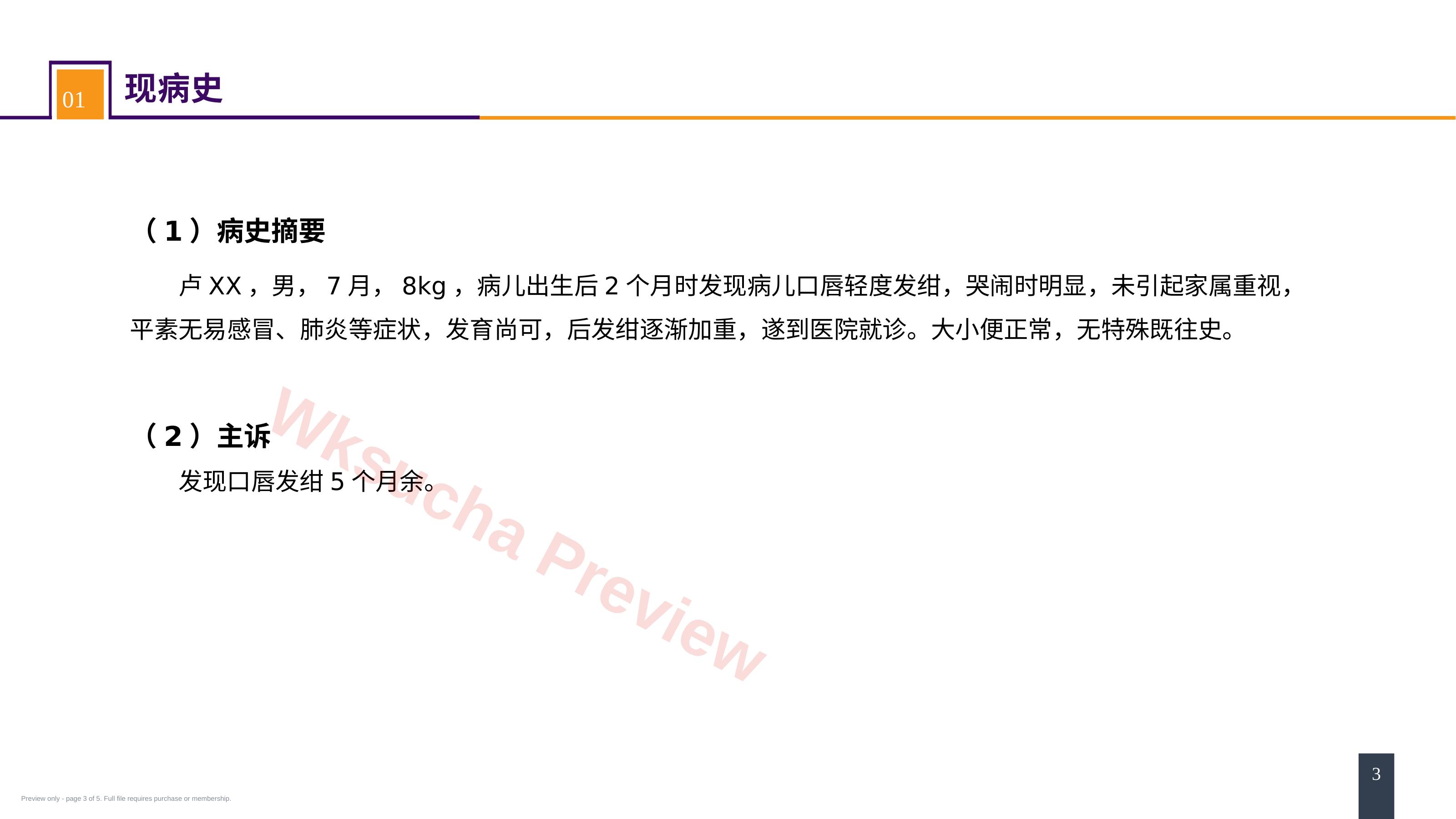 预览第 3 页