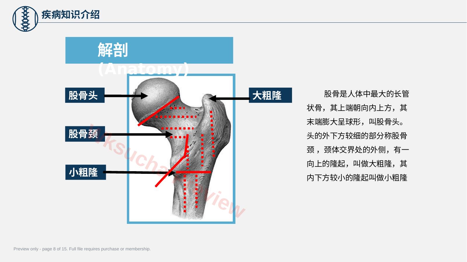 预览第 8 页