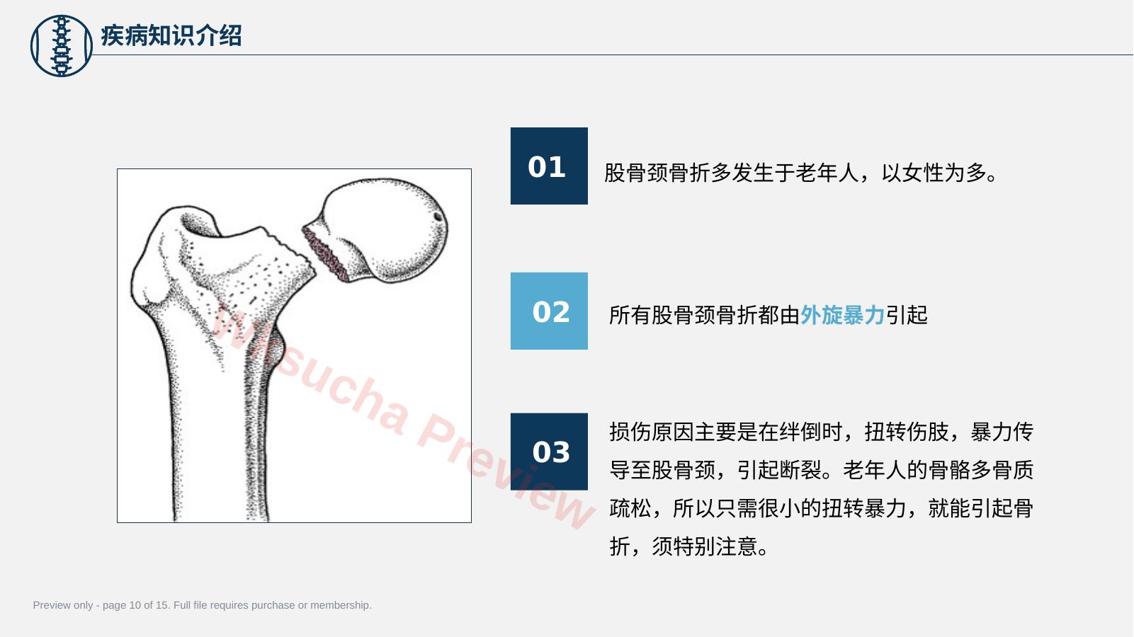 预览第 10 页