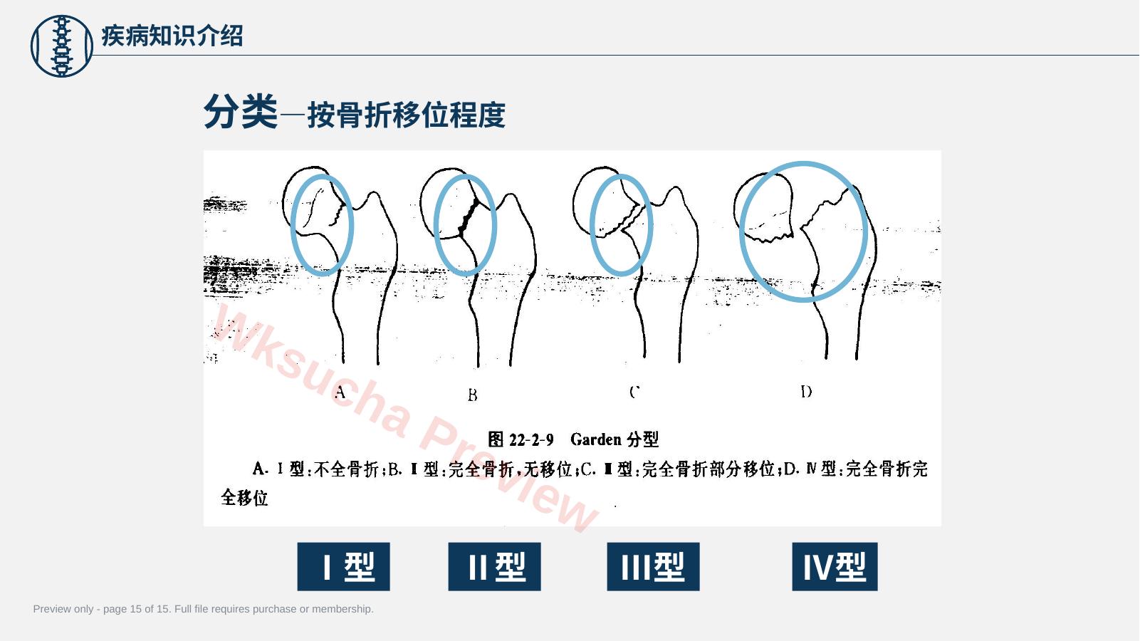预览第 15 页