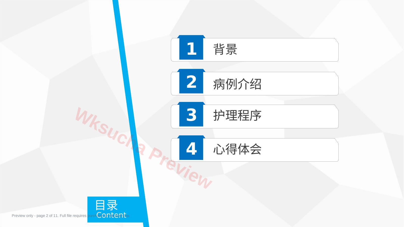 预览第 2 页