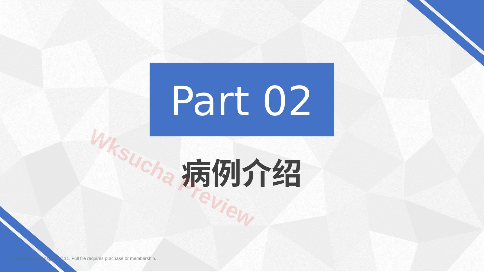预览第 6 页