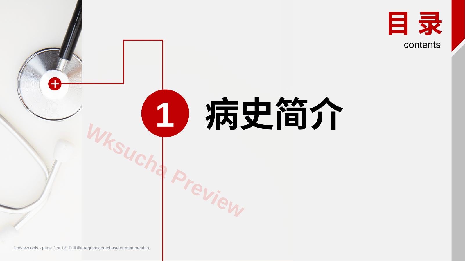 预览第 3 页