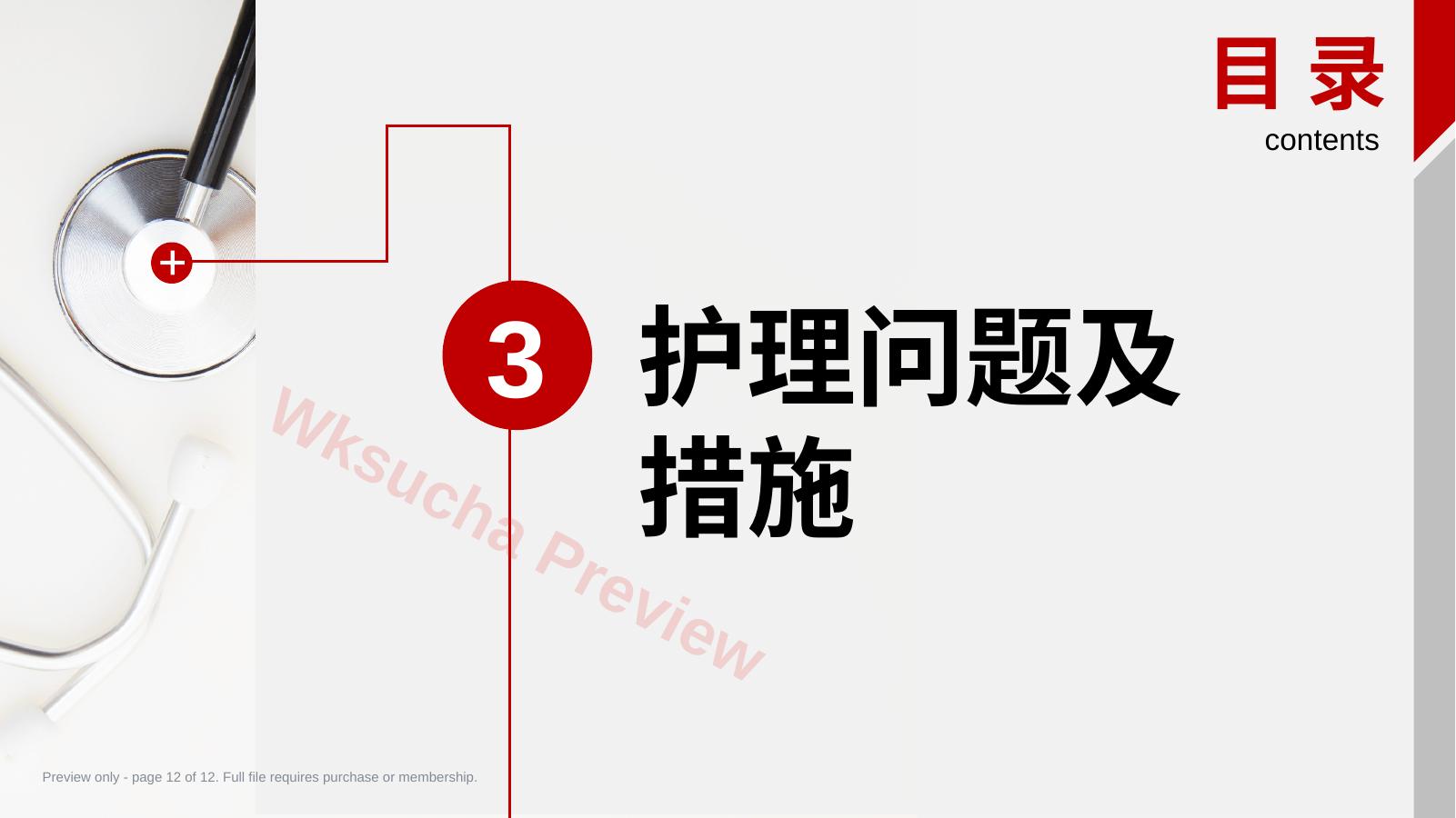 预览第 12 页