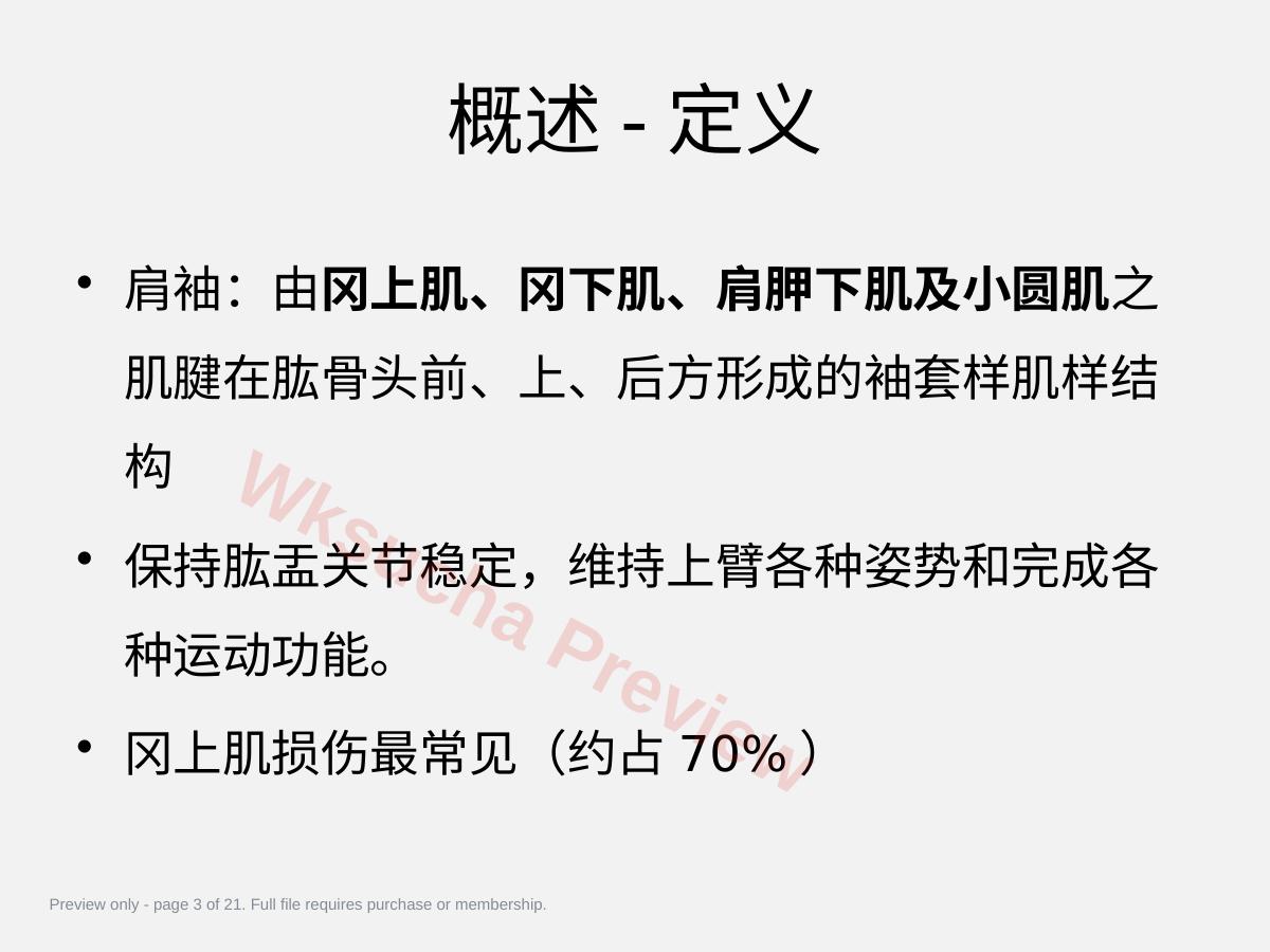 预览第 3 页