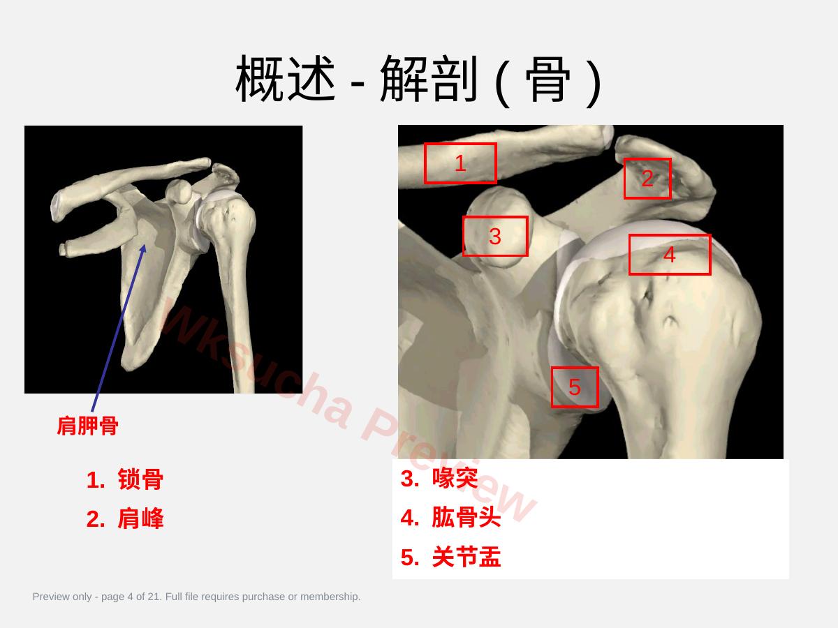 预览第 4 页
