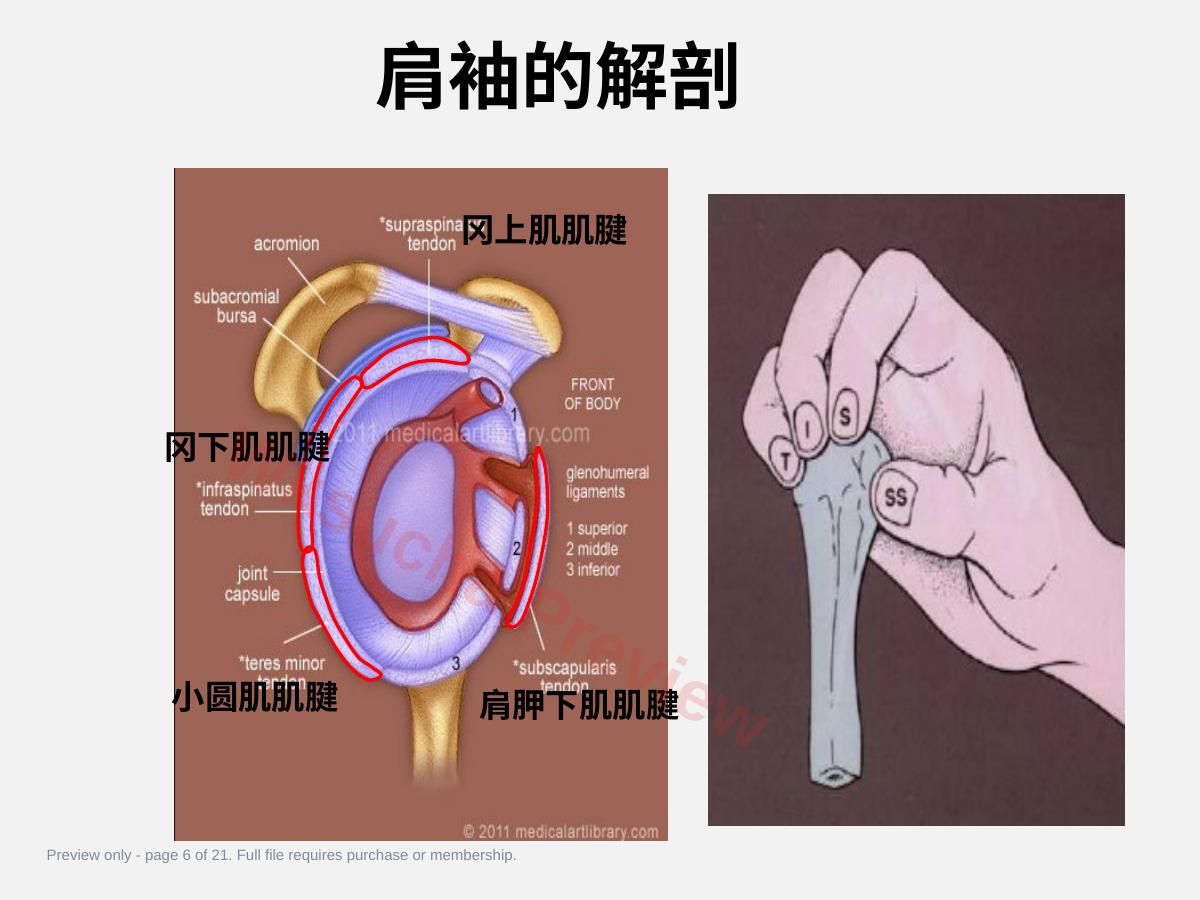 预览第 6 页