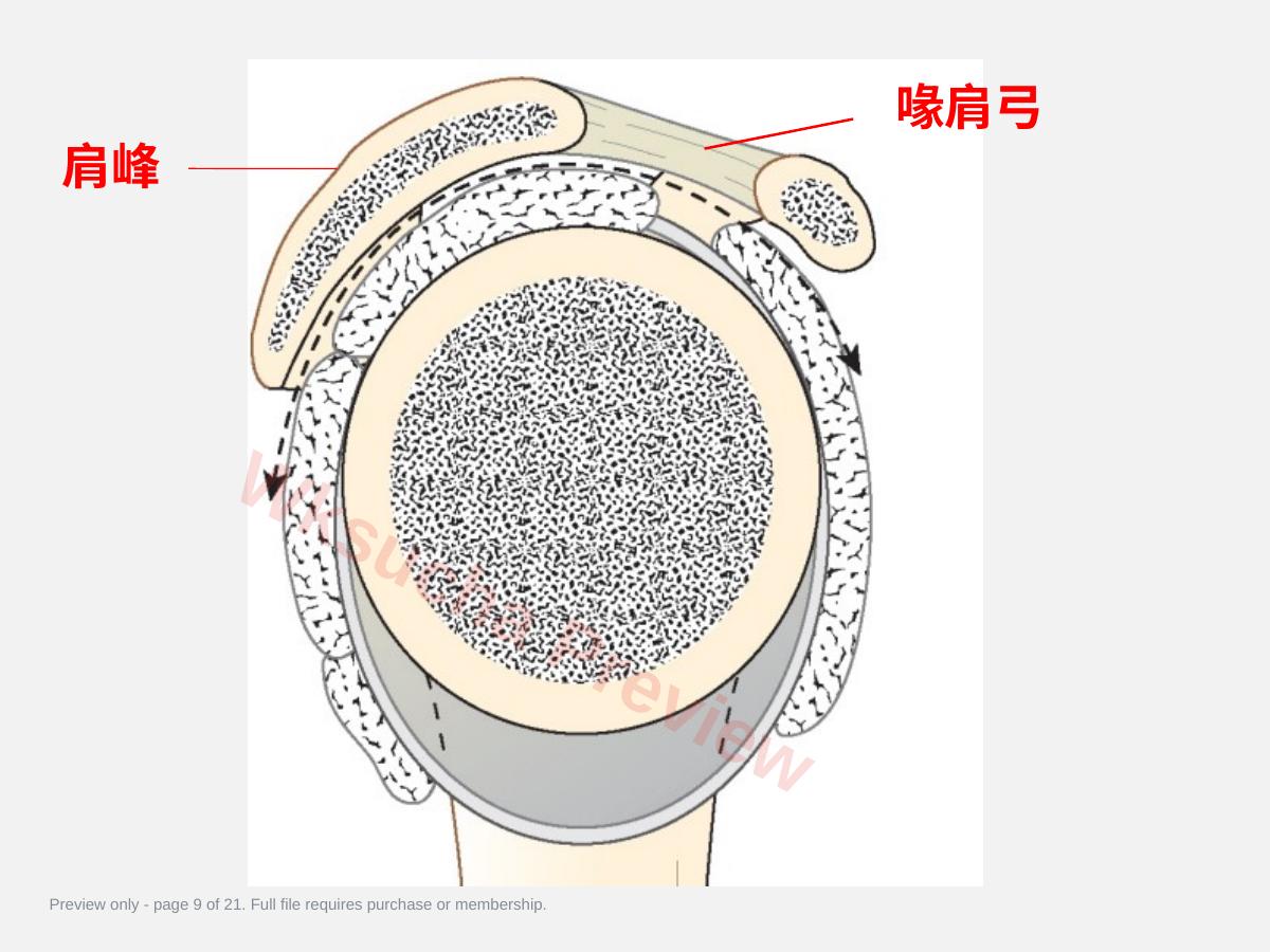 预览第 9 页
