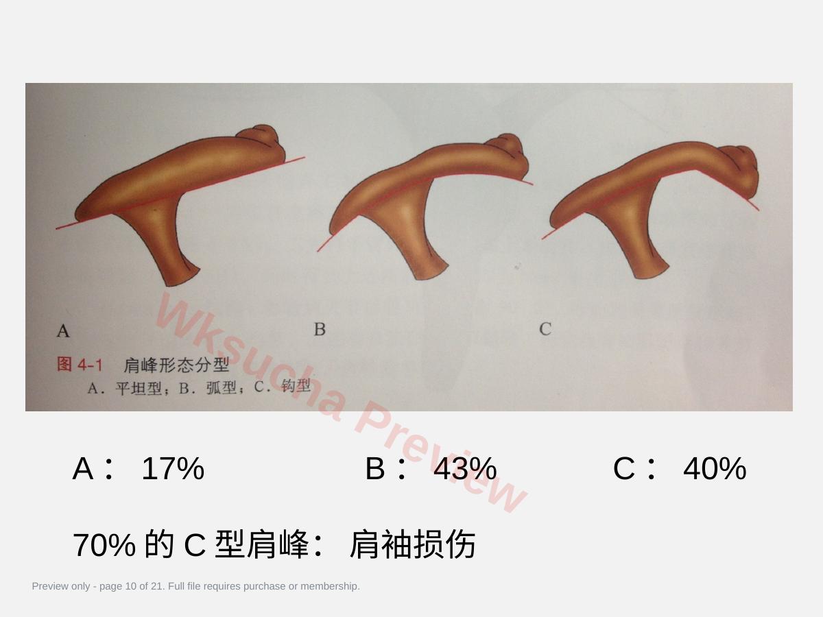 预览第 10 页