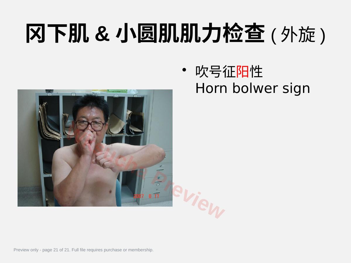 预览第 21 页