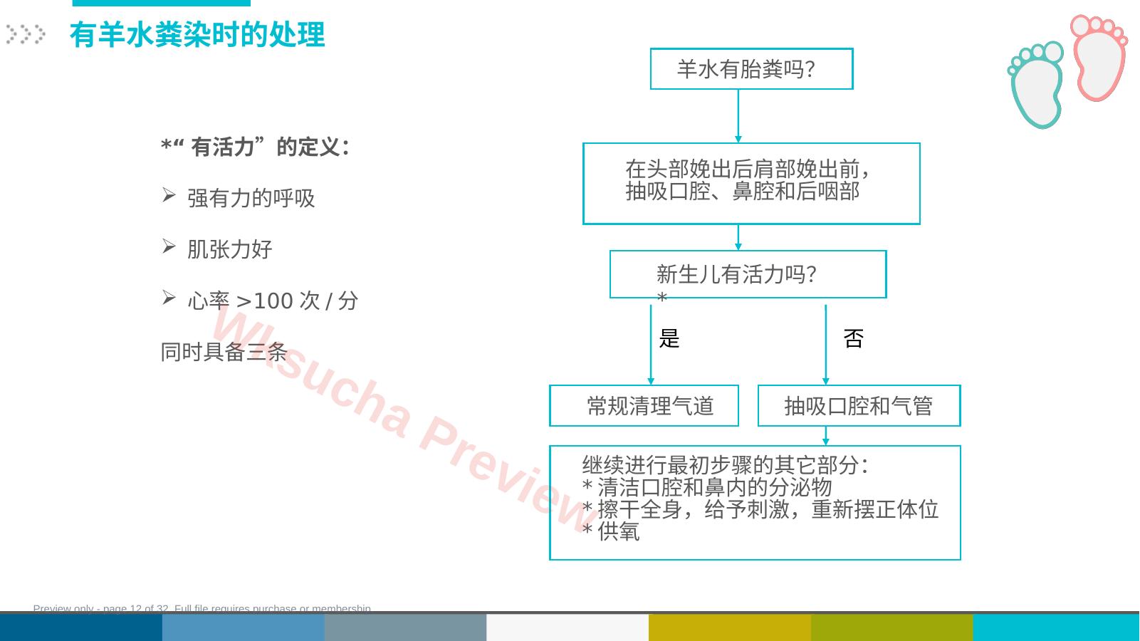 预览第 12 页