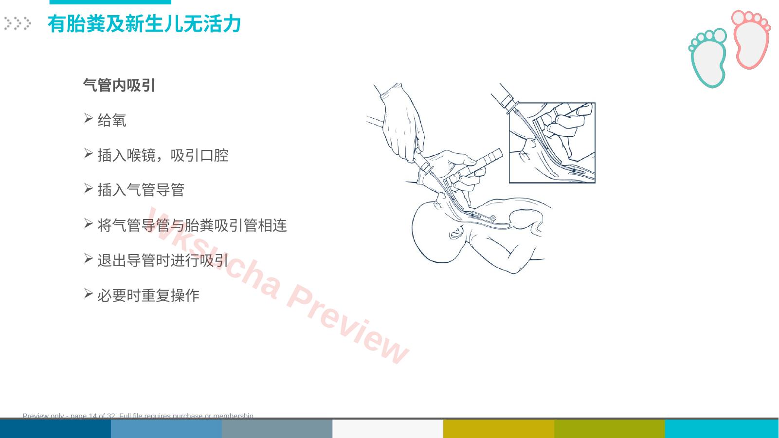 预览第 14 页
