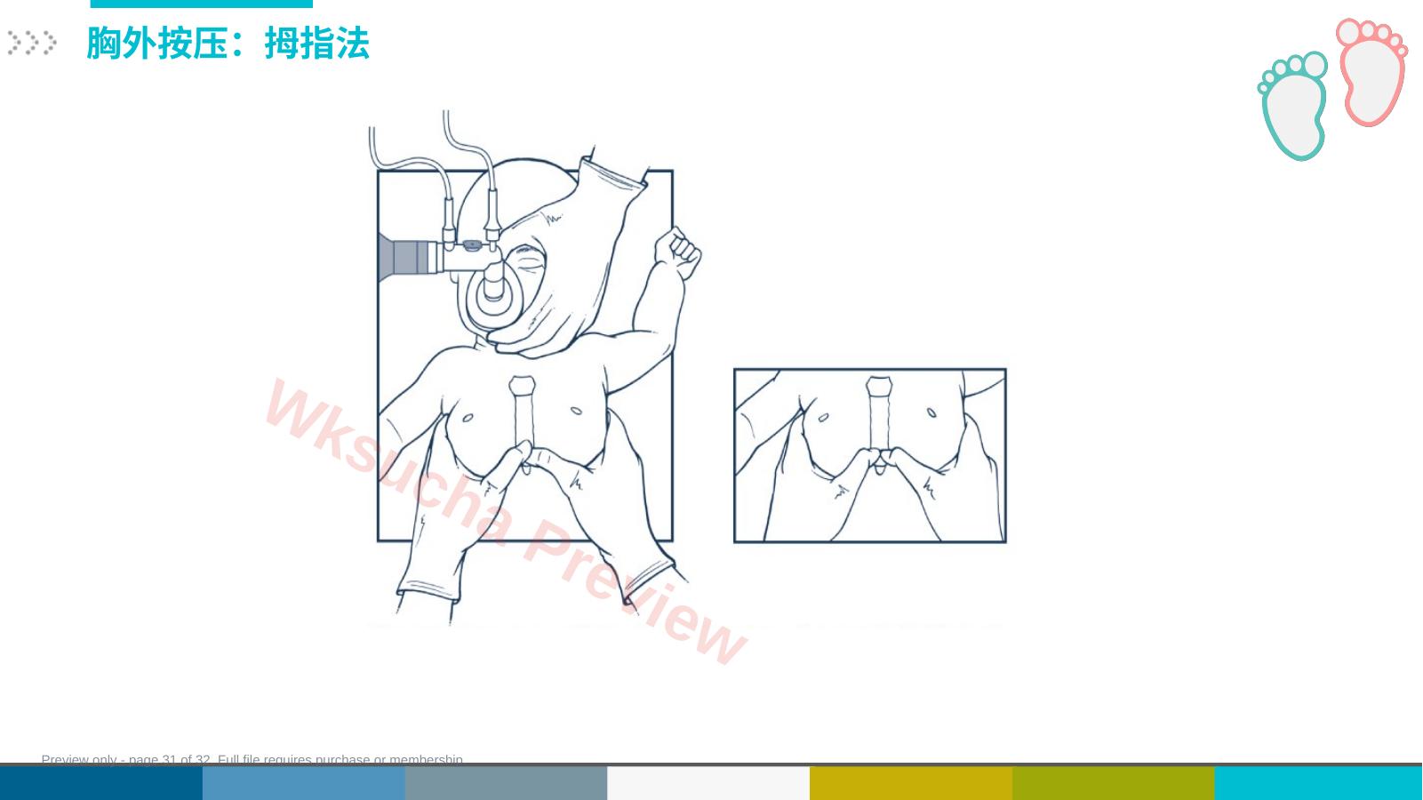 预览第 31 页