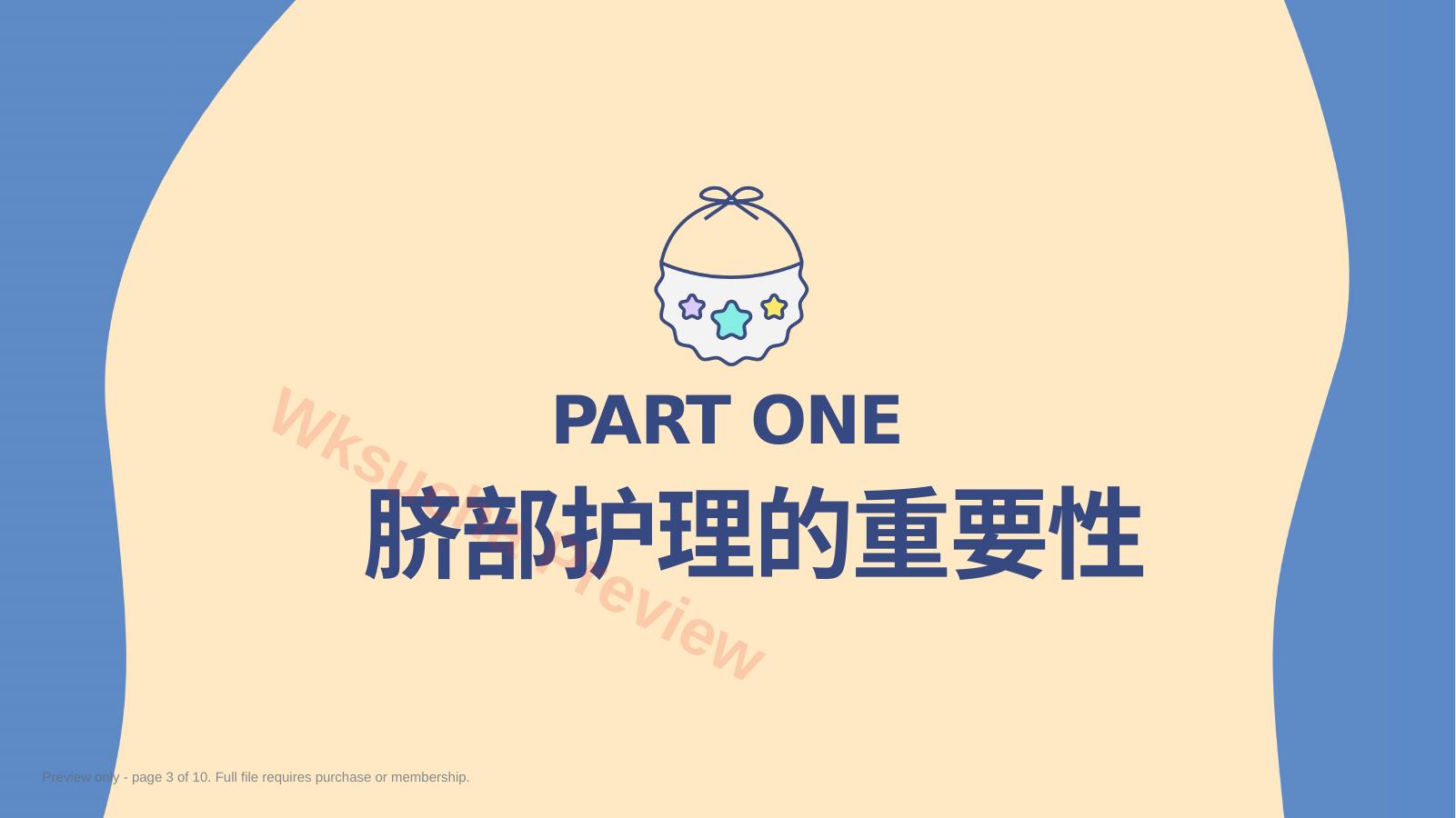 预览第 3 页