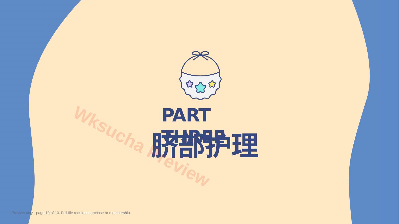 预览第 10 页