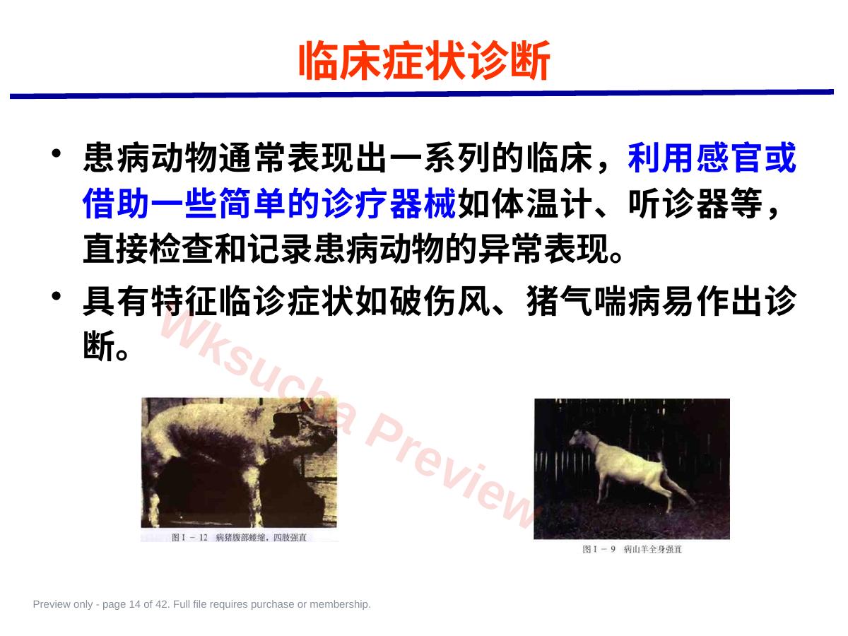 预览第 14 页