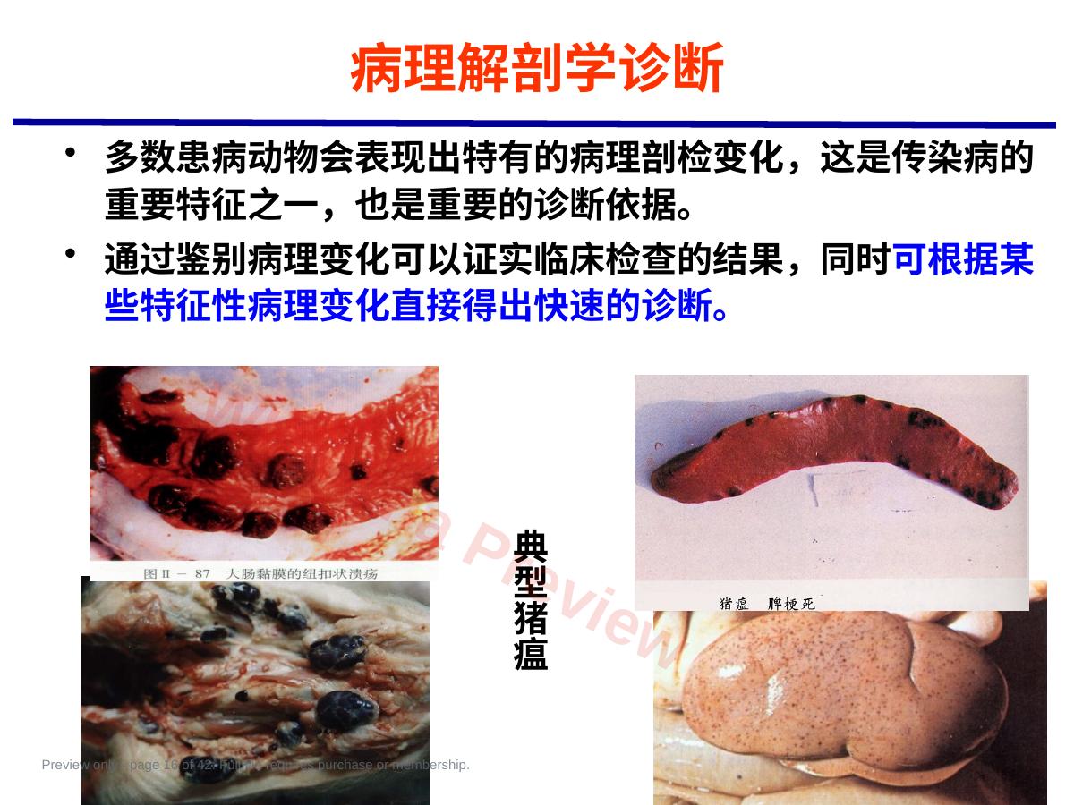预览第 16 页