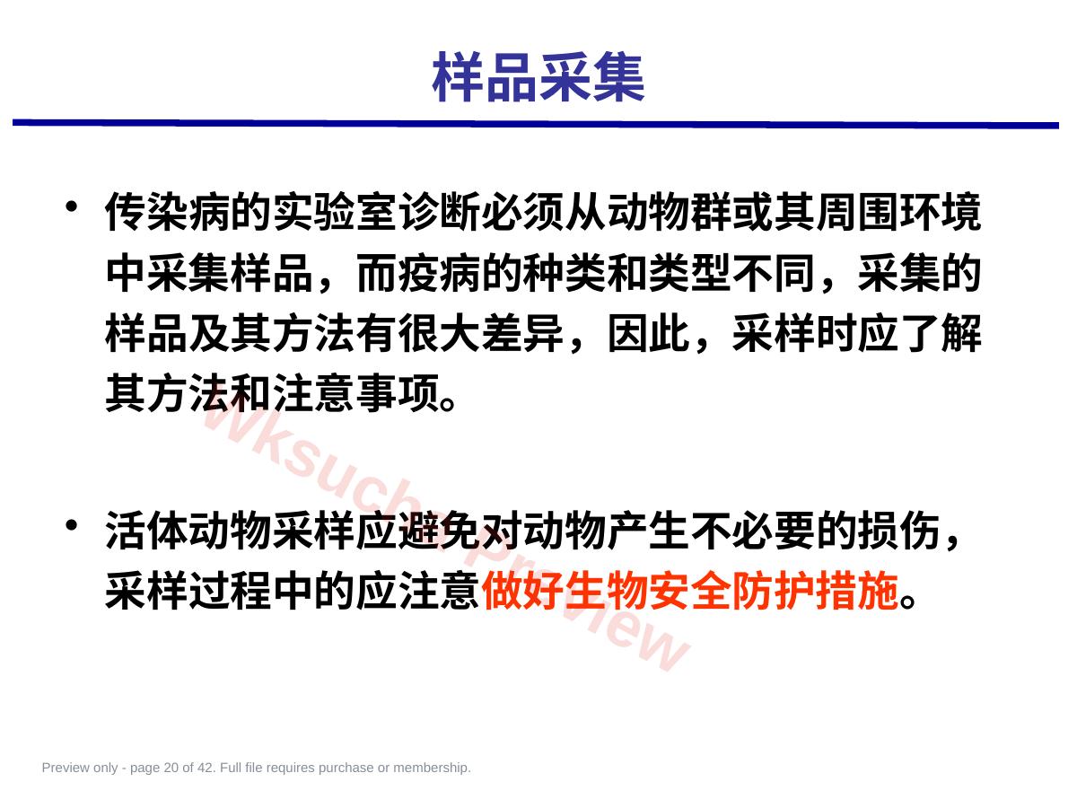 预览第 20 页