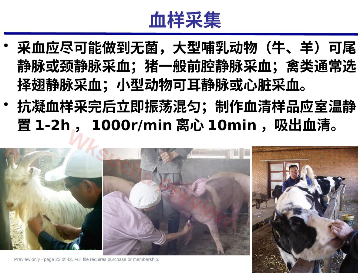 预览第 22 页
