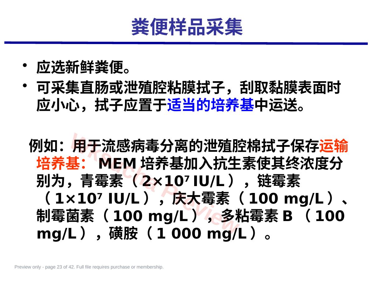 预览第 23 页