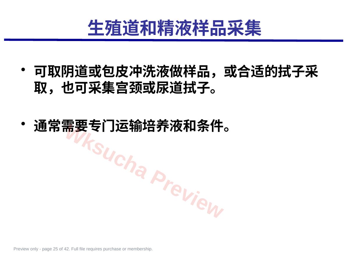 预览第 25 页