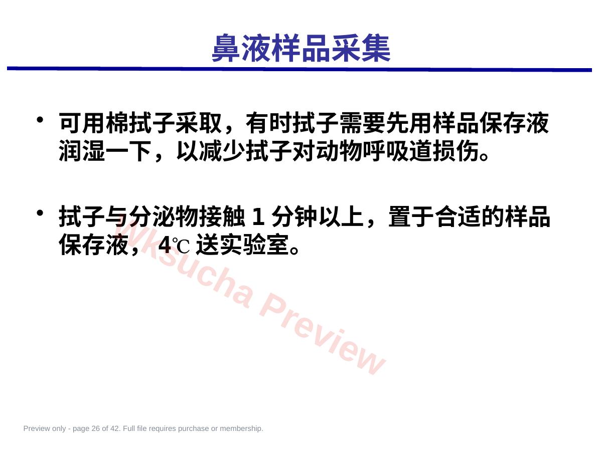 预览第 26 页