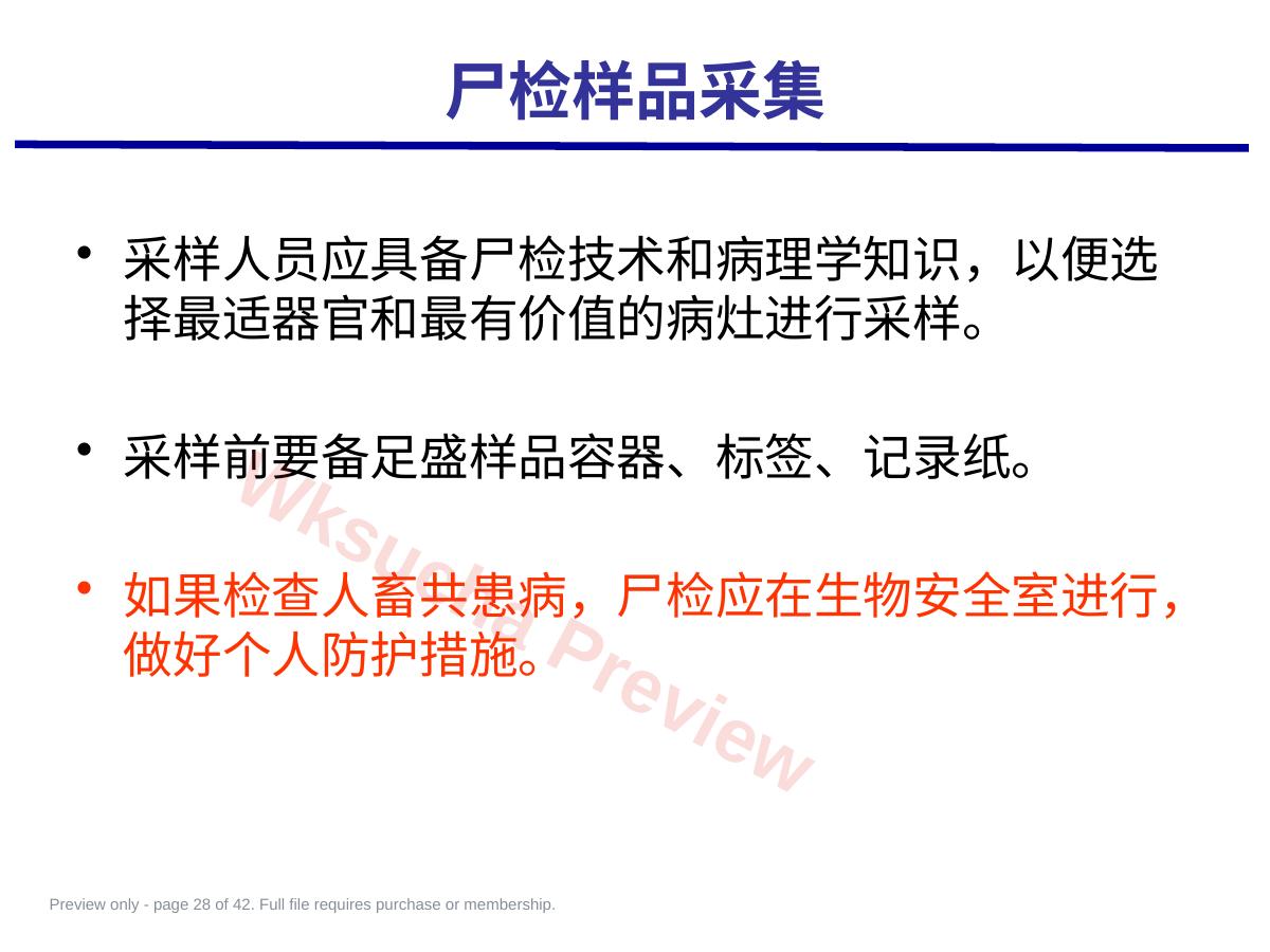 预览第 28 页