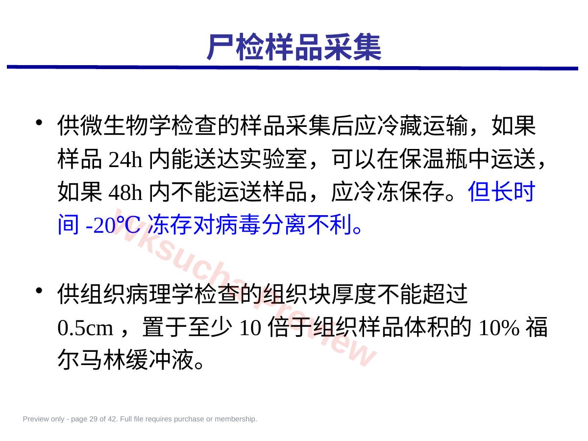 预览第 29 页