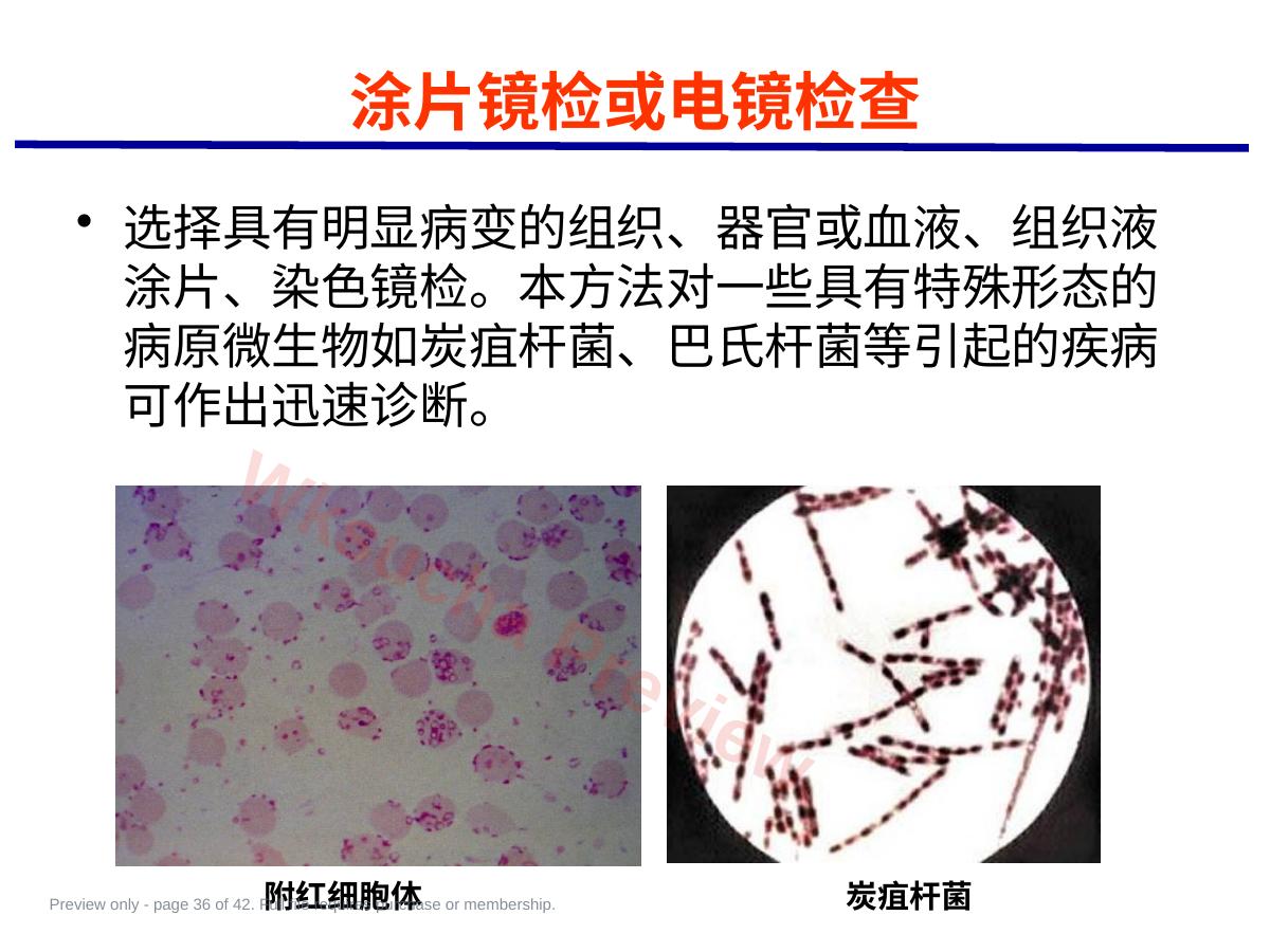 预览第 36 页
