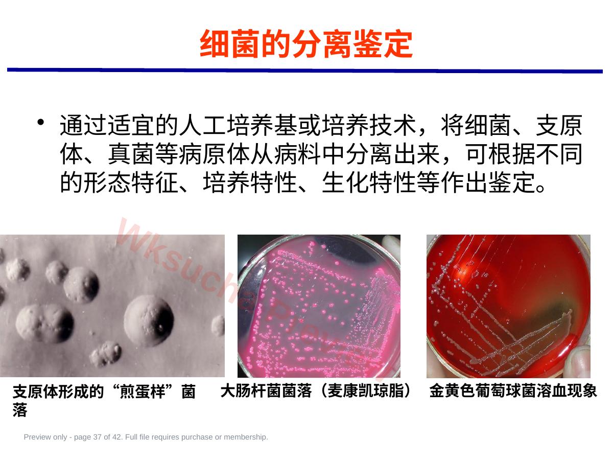 预览第 37 页