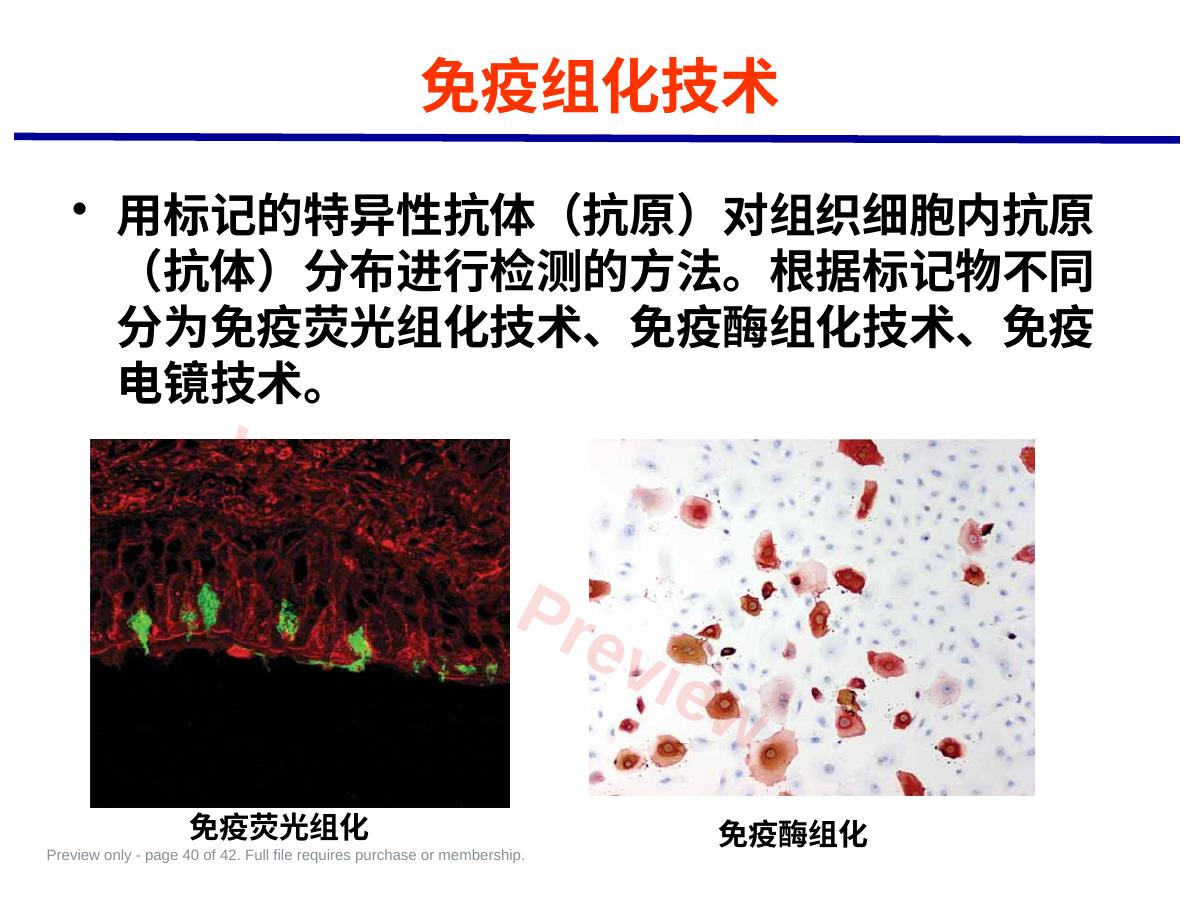预览第 40 页