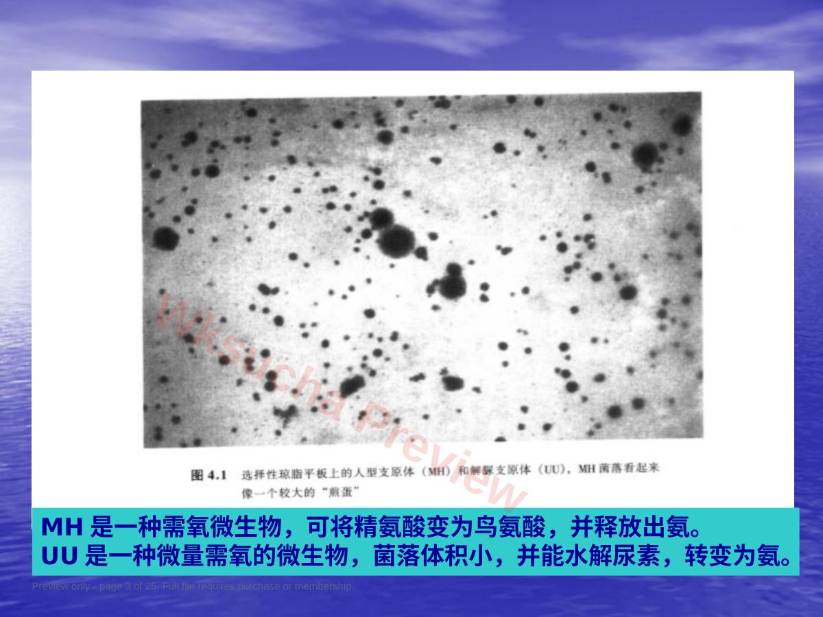 预览第 3 页