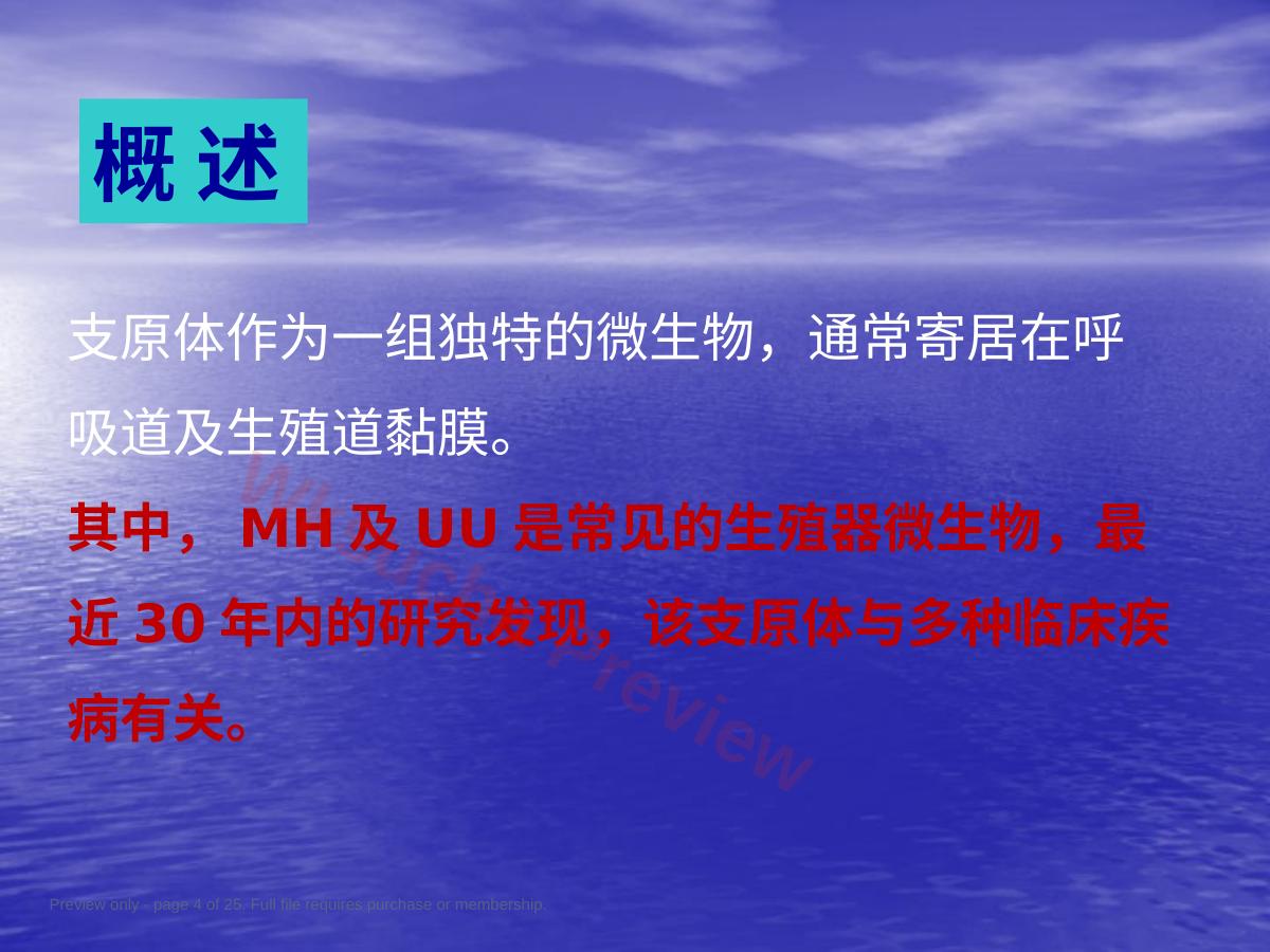 预览第 4 页