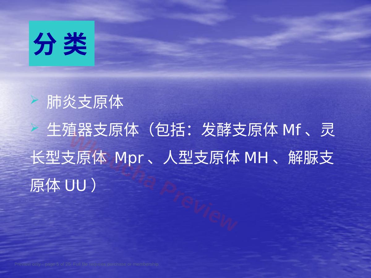 预览第 5 页