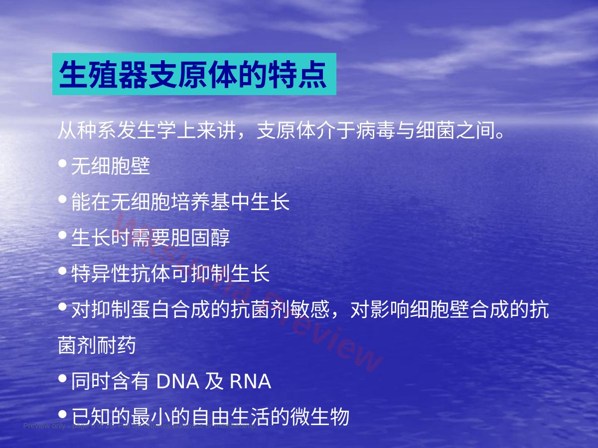 预览第 6 页