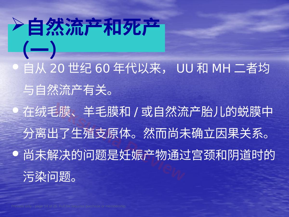 预览第 14 页